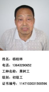河北富崗的科技堅守與責任傳承 李保國128科技服務小分隊的社會回響